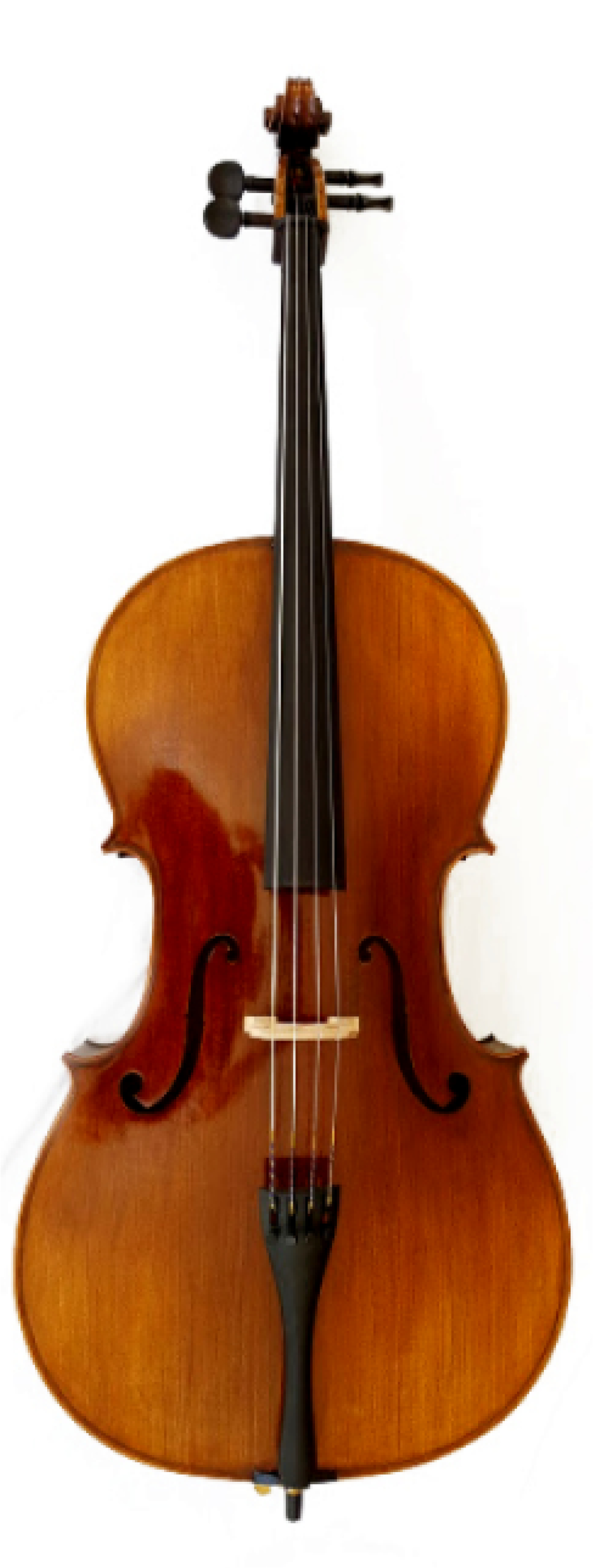 ENDEAVOUR ‘Alumnus’ Cello 'Pre-loved'