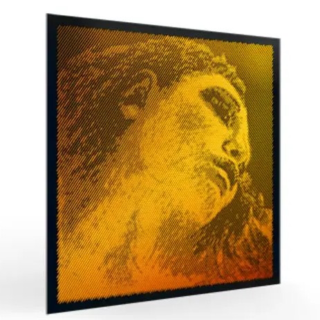 Evah Pirazzi Gold violin strings SET with Silver G