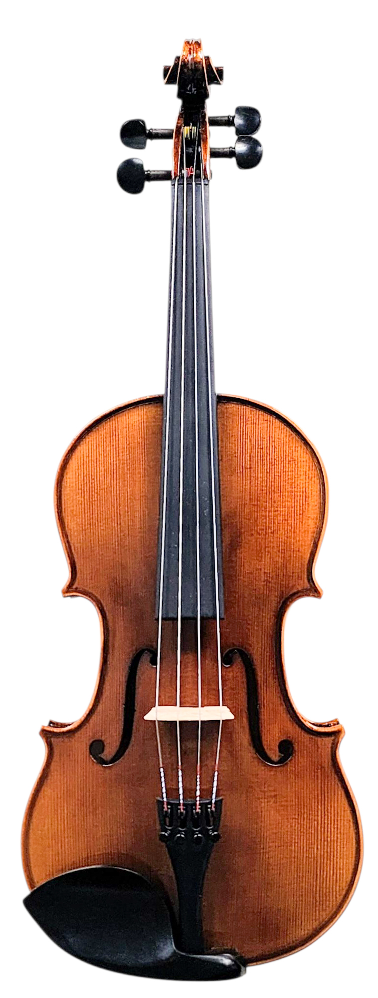 ENDEAVOUR 'Maestro' Viola - Adult size