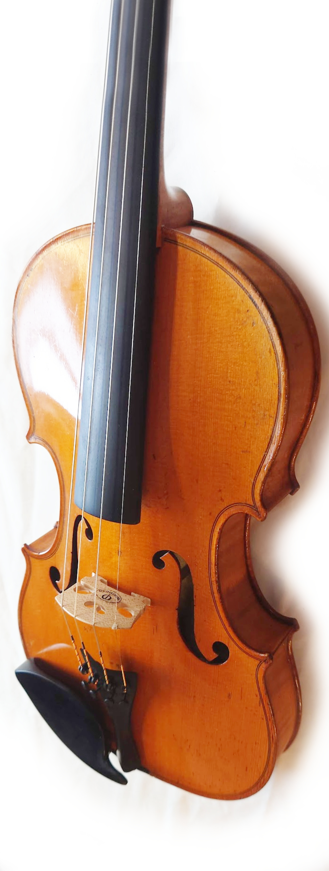 Antique Violin BRETON BREVETE France 1890 | The String Workshop. NZ